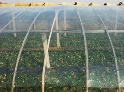 皇冠app官网登录入口