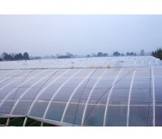 皇冠app官网登录入口