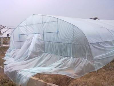 大棚农膜 大棚农膜